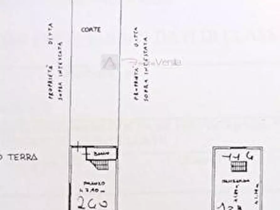 Immagine 17 di Terreno agricolo in vendita  a Vinci