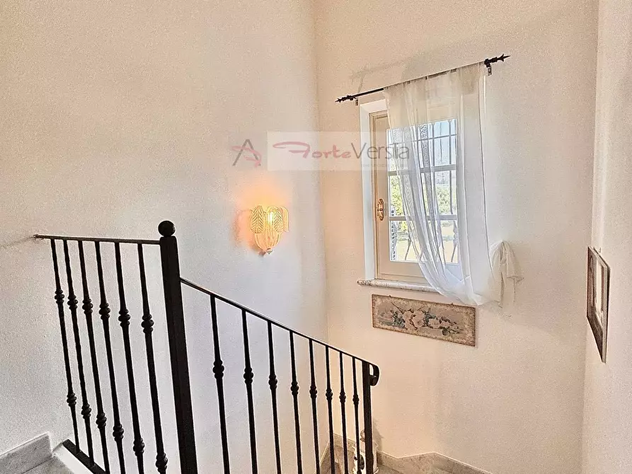 Immagine 37 di Villa in vendita  a Seravezza