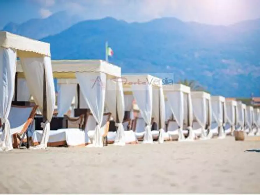 Immagine 6 di Villa in vendita  a Forte Dei Marmi