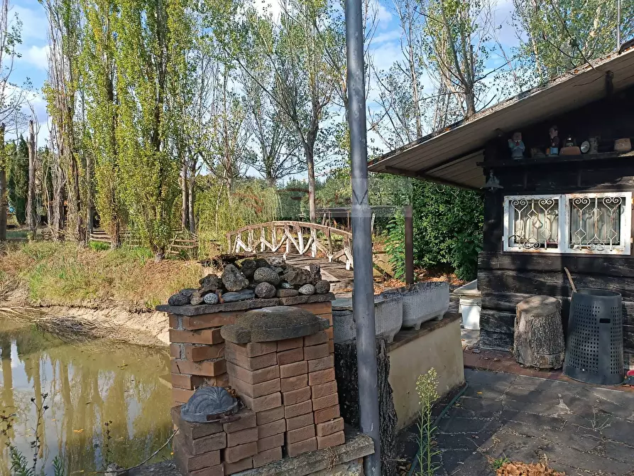 Immagine 4 di Terreno agricolo in vendita  a Vinci