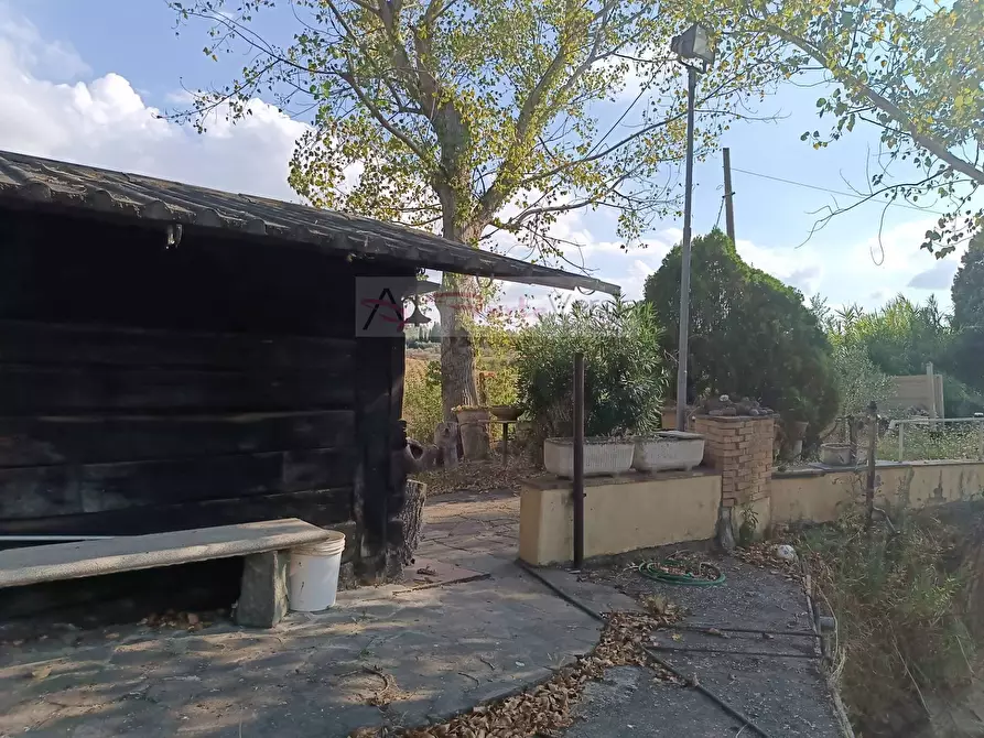 Immagine 6 di Terreno agricolo in vendita  a Vinci