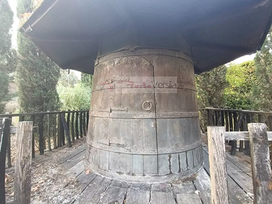 Immagine 18 di Terreno agricolo in vendita  a Vinci