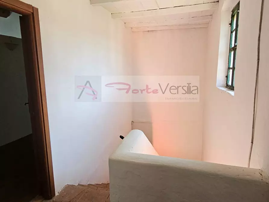 Immagine 13 di Rustico / casale in vendita  a Caorso