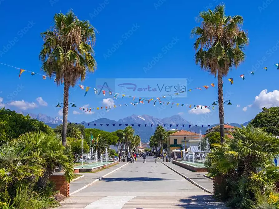 Immagine 25 di Casa indipendente in vendita  a Pietrasanta