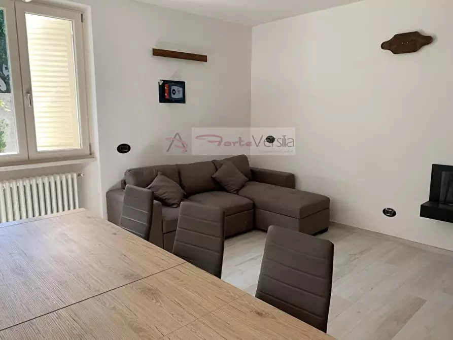 Immagine 2 di Villa in vendita  a Forte Dei Marmi