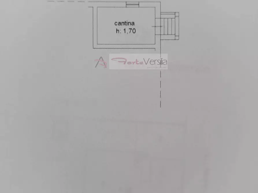 Immagine 31 di Villa in vendita  a Forte Dei Marmi