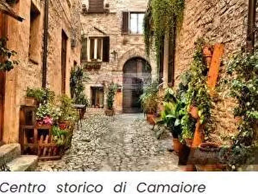 Immagine 5 di Villa in vendita  a Camaiore