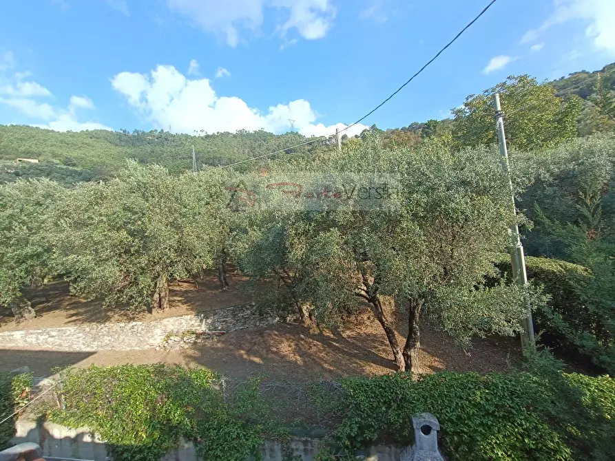 Immagine 29 di Villetta a schiera in vendita  a Seravezza