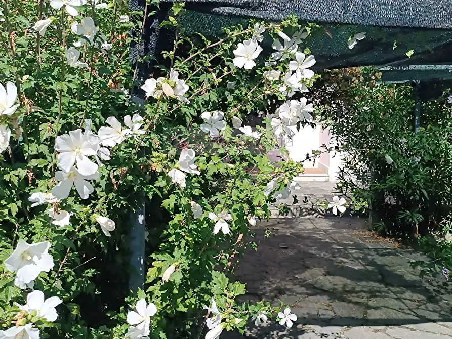 Immagine 25 di Villa in vendita  a Carrara