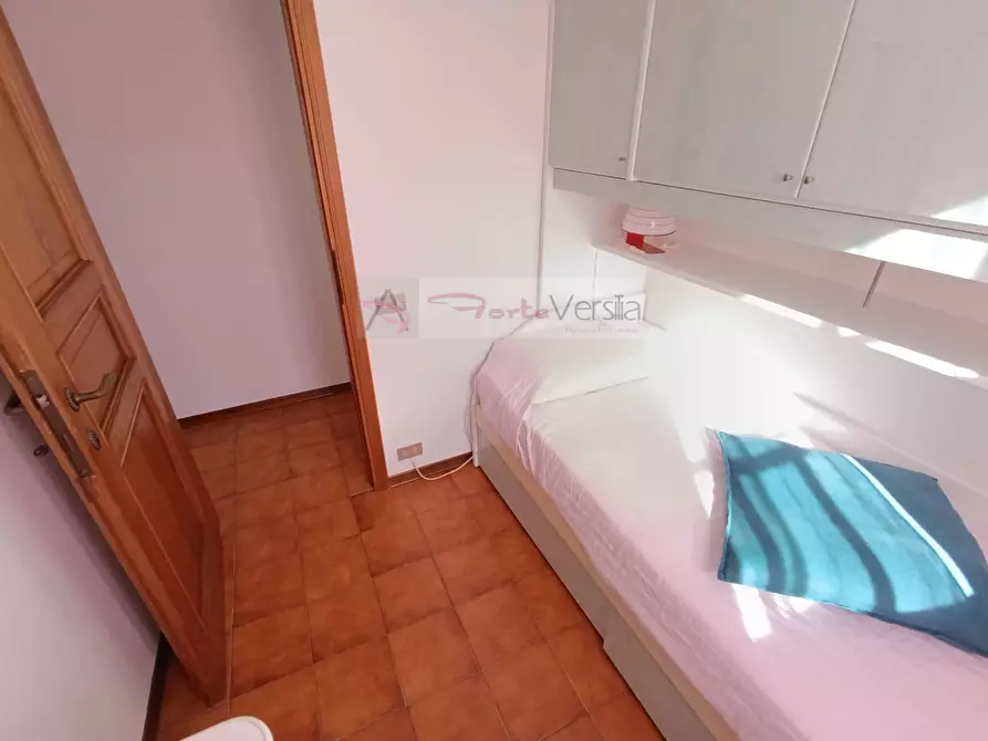 Immagine 23 di Villa in vendita  a Forte Dei Marmi