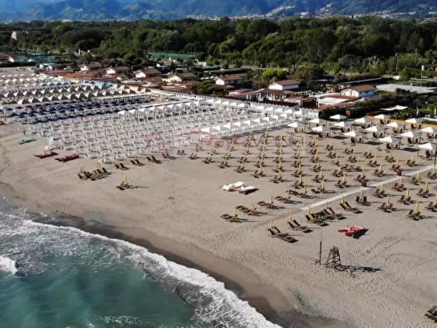 Immagine 3 di Villetta a schiera in vendita  a Montignoso