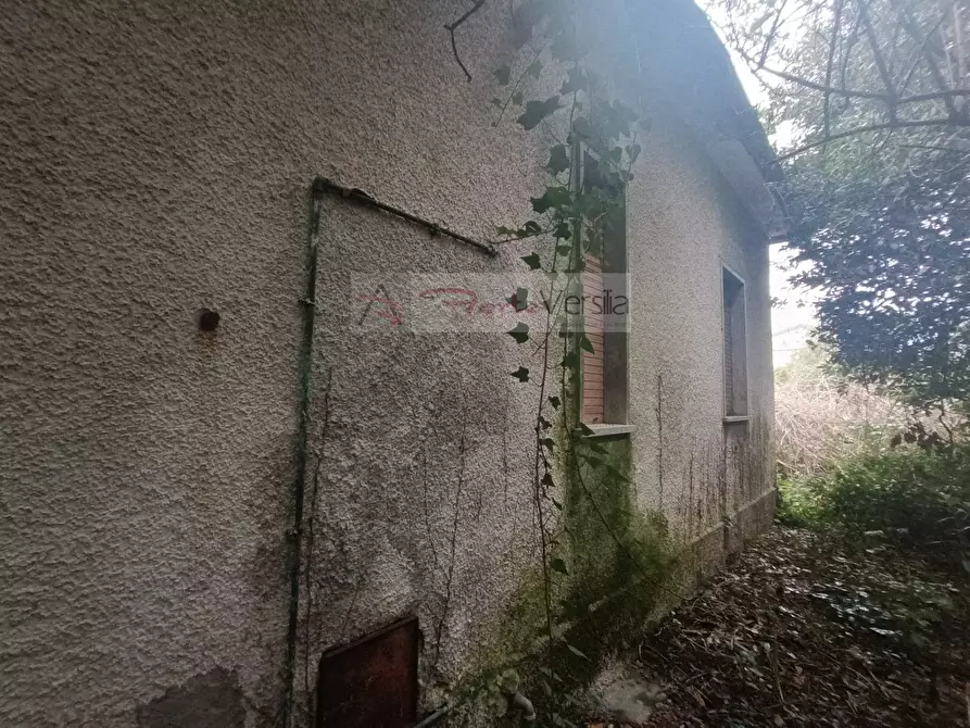 Immagine 6 di Villa in vendita  a Montignoso