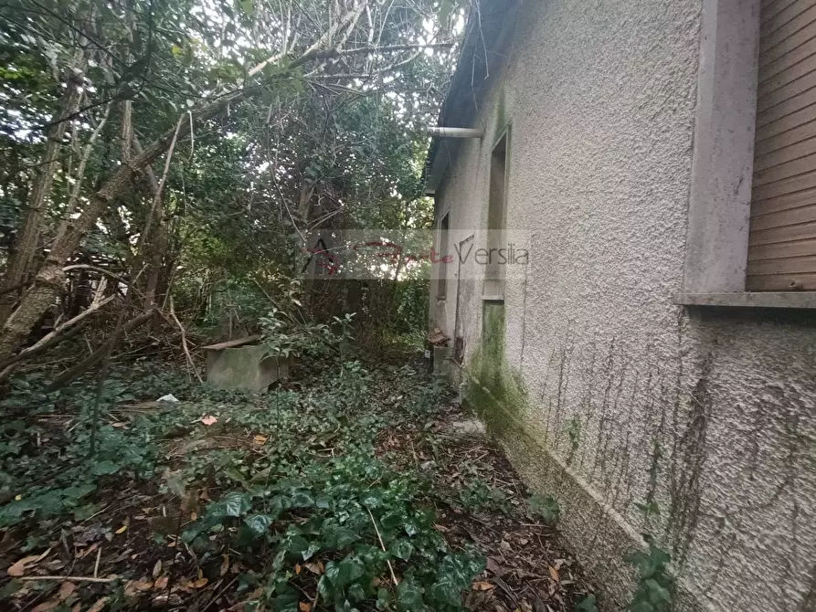 Immagine 7 di Villa in vendita  a Montignoso