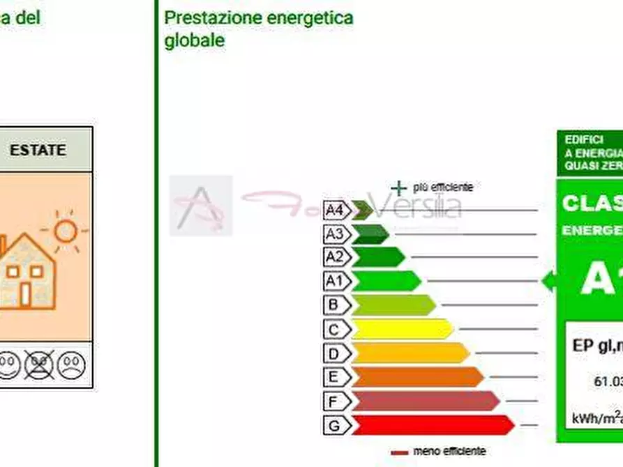 Immagine 19 di Villa in vendita  a Montignoso