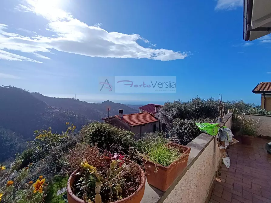 Immagine 1 di Villa in vendita  a Montignoso