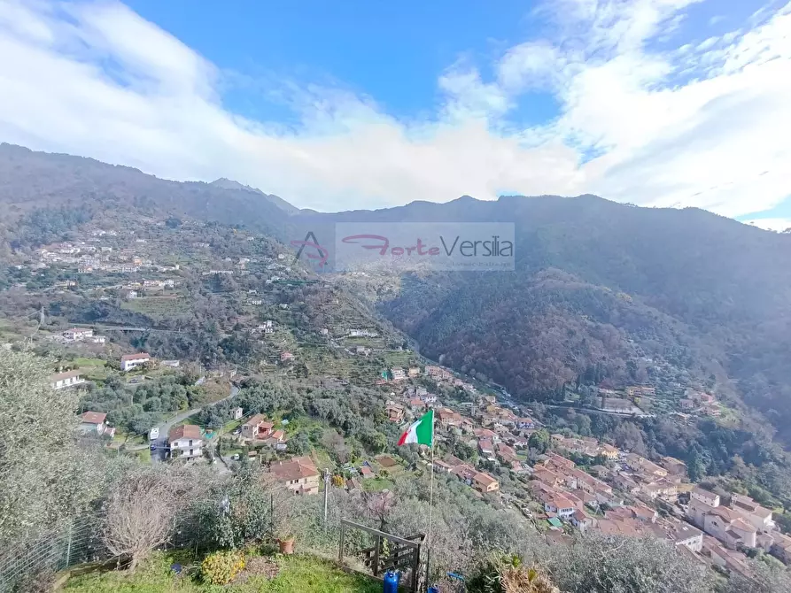 Immagine 3 di Villa in vendita  a Montignoso