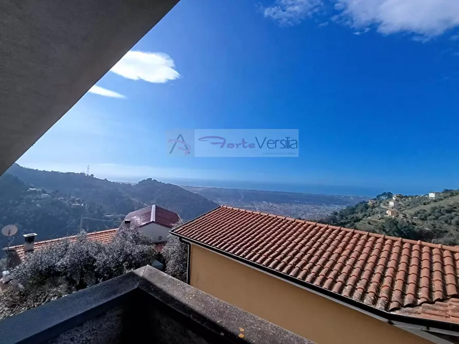 Immagine 2 di Villa in vendita  a Montignoso