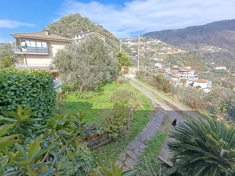 Immagine 4 di Villa in vendita  a Montignoso