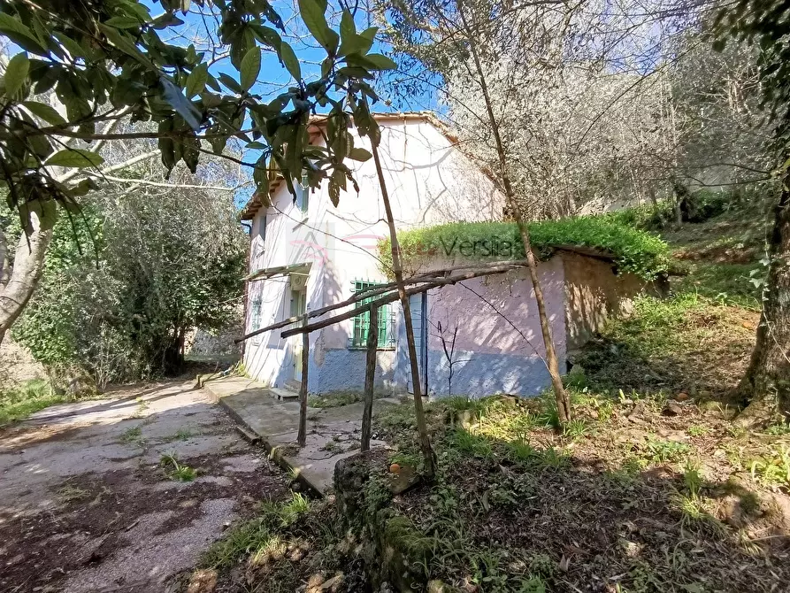 Immagine 10 di Rustico / casale in vendita  a Pietrasanta