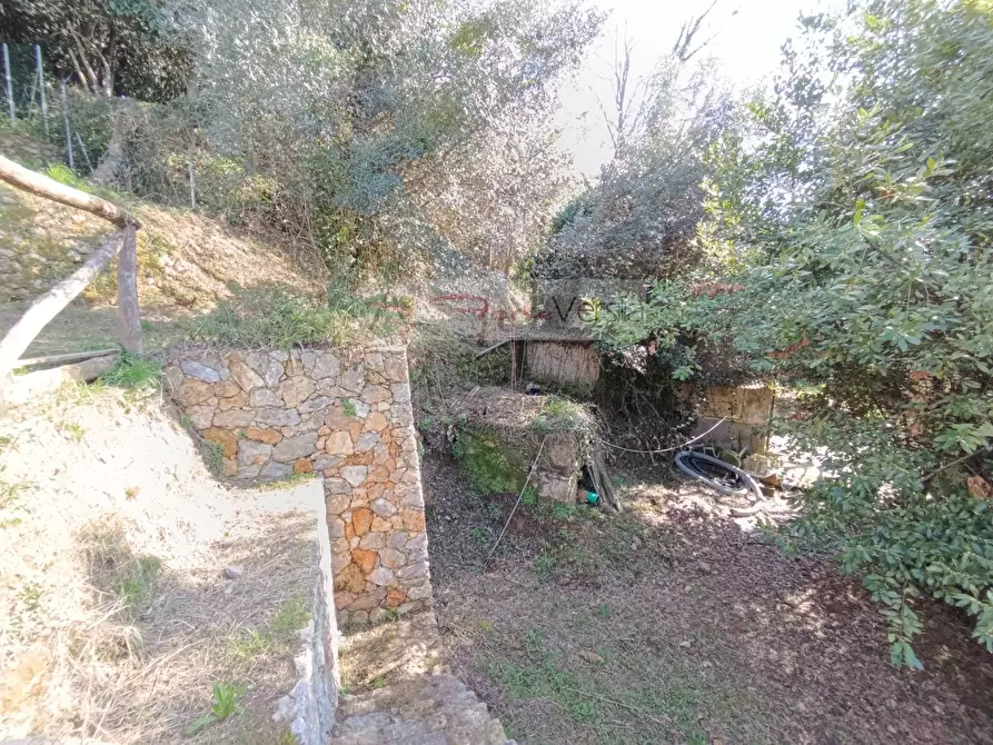 Immagine 24 di Rustico / casale in vendita  a Pietrasanta