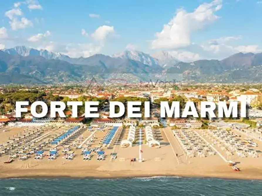 Immagine 23 di Capannone industriale in vendita  a Pietrasanta