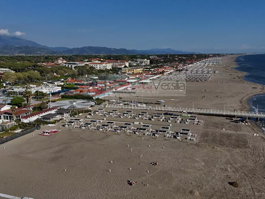 Immagine 8 di Capannone industriale in vendita  a Pietrasanta