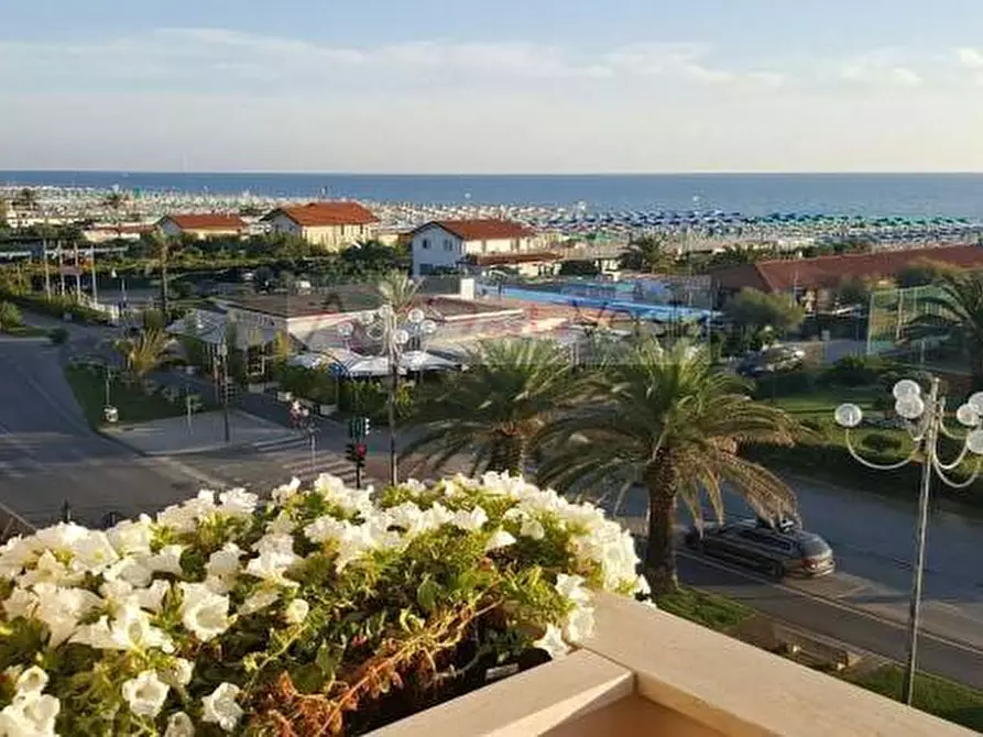 Immagine 6 di Capannone industriale in vendita  a Pietrasanta