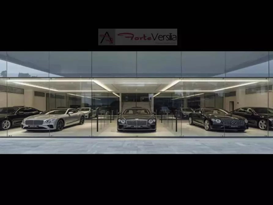 Immagine 2 di Capannone industriale in vendita  a Pietrasanta