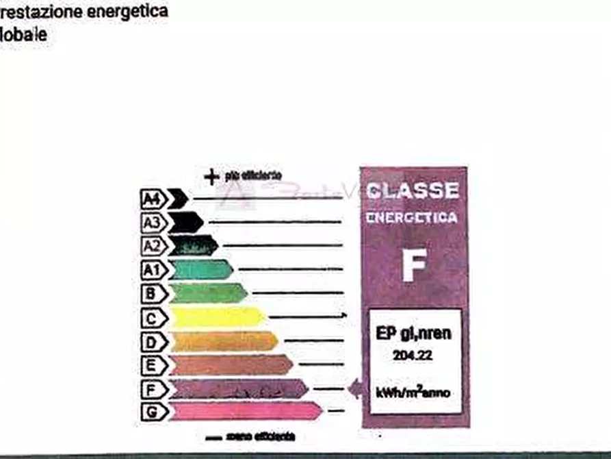 Immagine 19 di Villa in vendita  a Pietrasanta