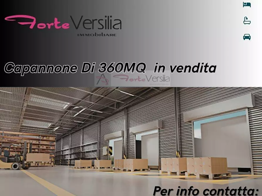 Immagine 1 di Capannone industriale in vendita  a Pietrasanta