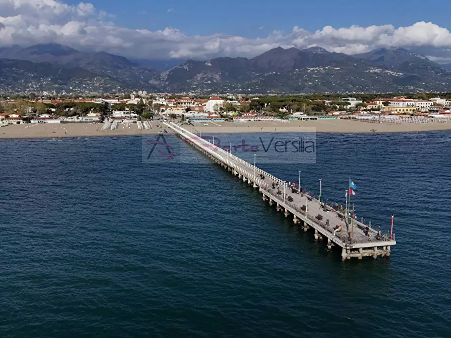 Immagine 10 di Villa in vendita  a Forte Dei Marmi