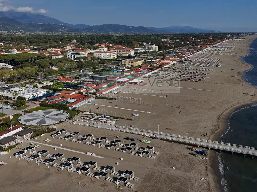 Immagine 12 di Villa in vendita  a Forte Dei Marmi