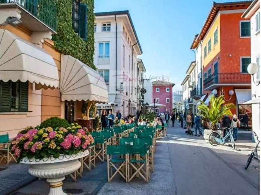 Immagine 15 di Villa in vendita  a Forte Dei Marmi