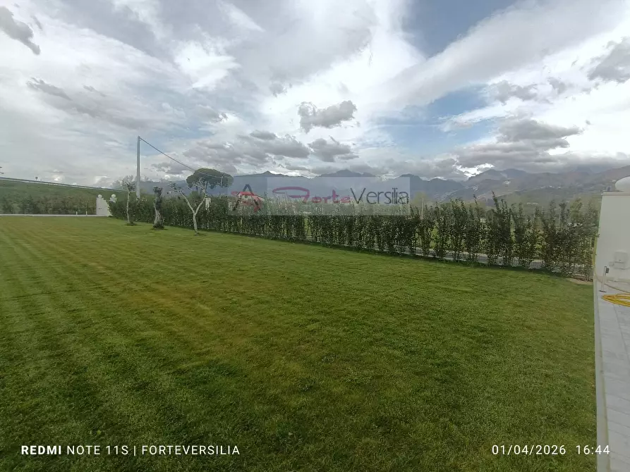 Immagine 31 di Villa in vendita  a Pietrasanta