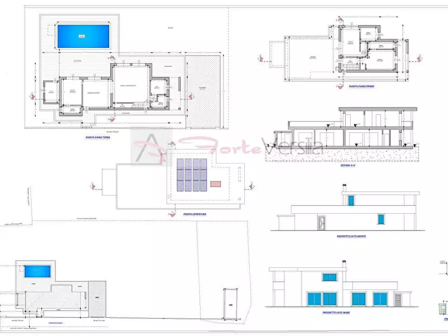 Immagine 35 di Villa in vendita  a Pietrasanta