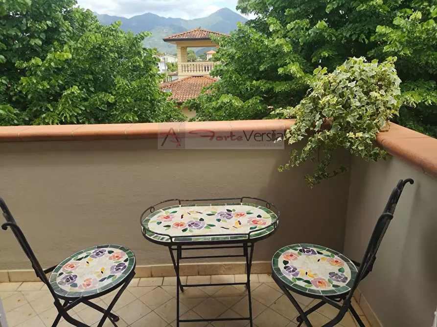 Immagine 13 di Appartamento in vendita  a Pietrasanta