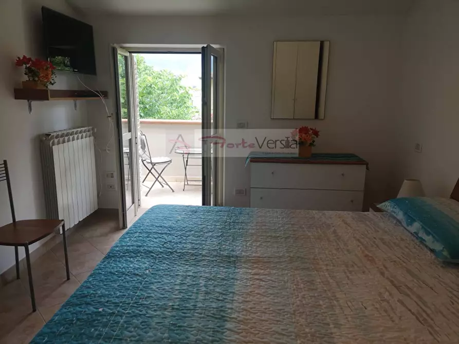 Immagine 10 di Appartamento in vendita  a Pietrasanta