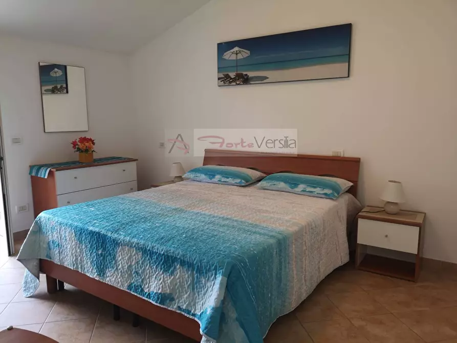 Immagine 11 di Appartamento in vendita  a Pietrasanta