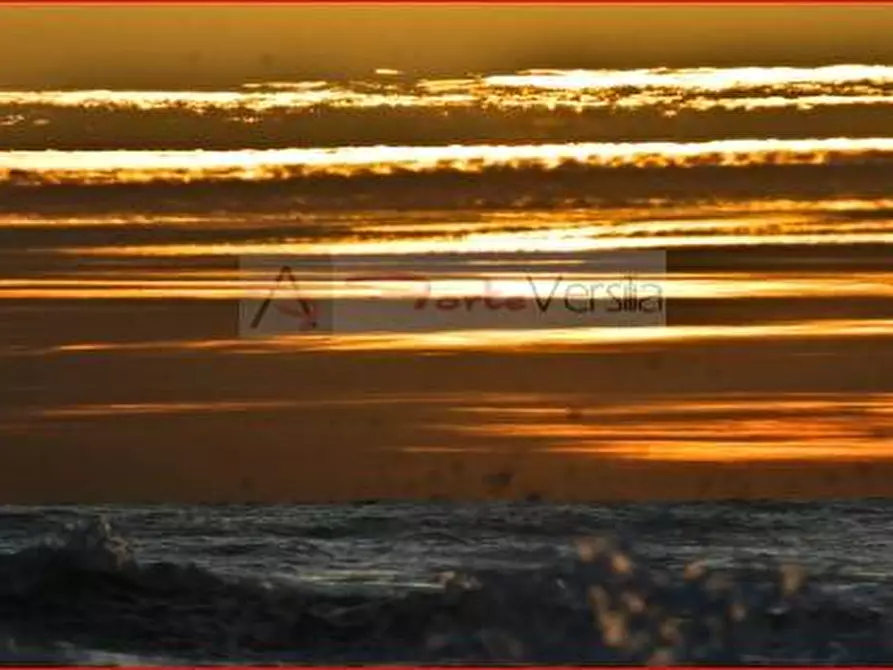 Immagine 10 di Villa in vendita  a Montignoso