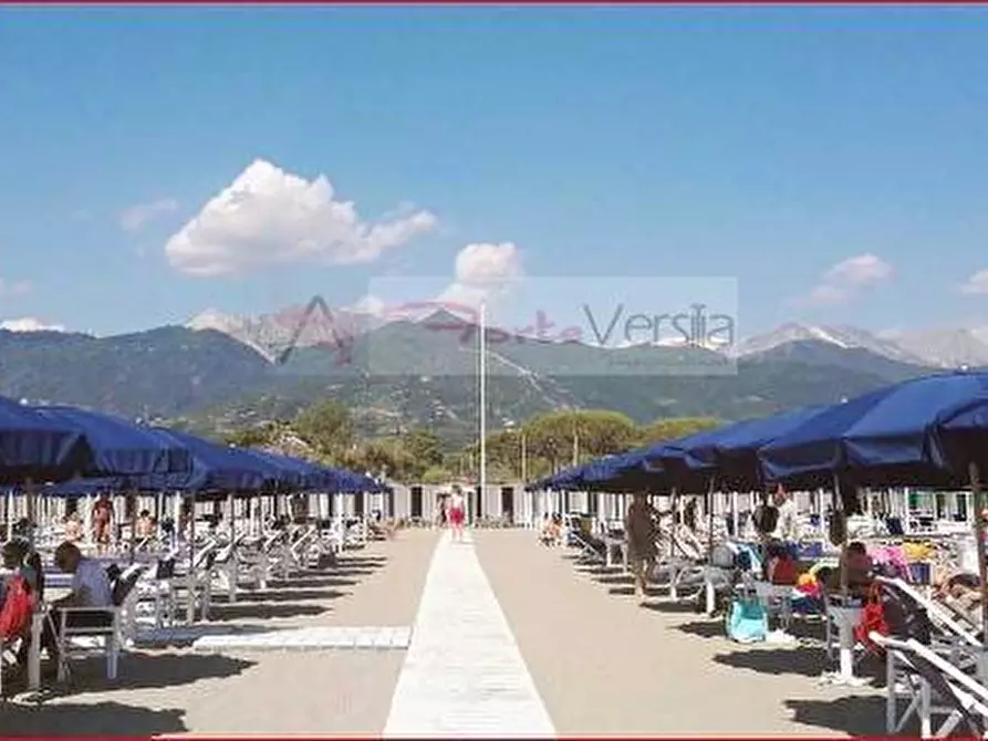 Immagine 11 di Villa in vendita  a Montignoso