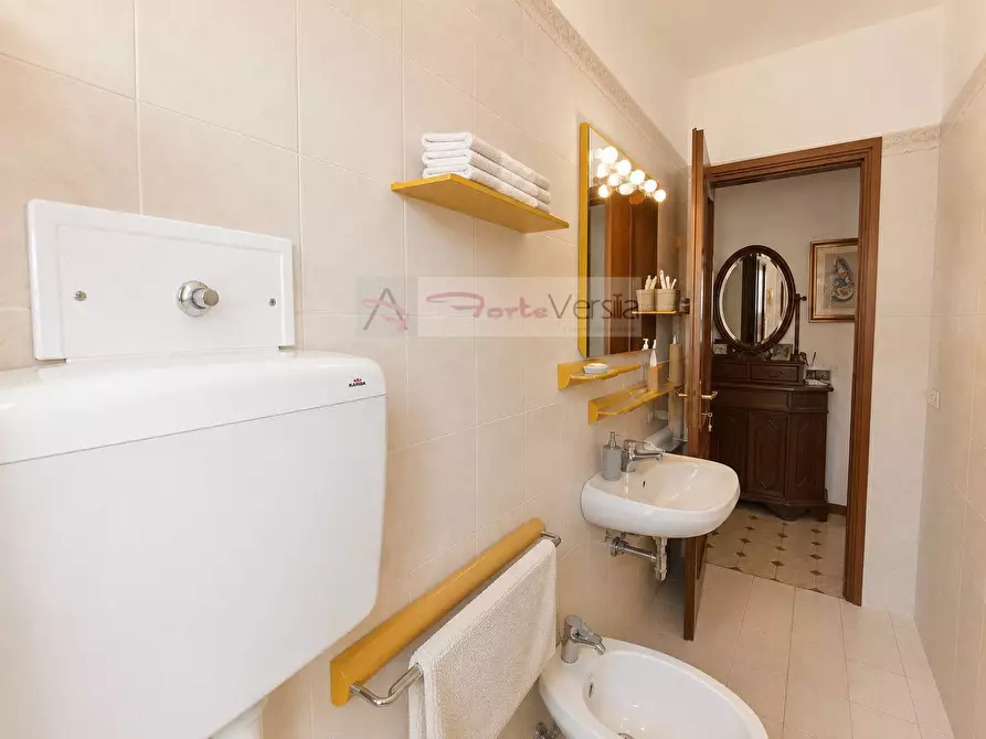 Immagine 21 di Appartamento in vendita  a Seravezza