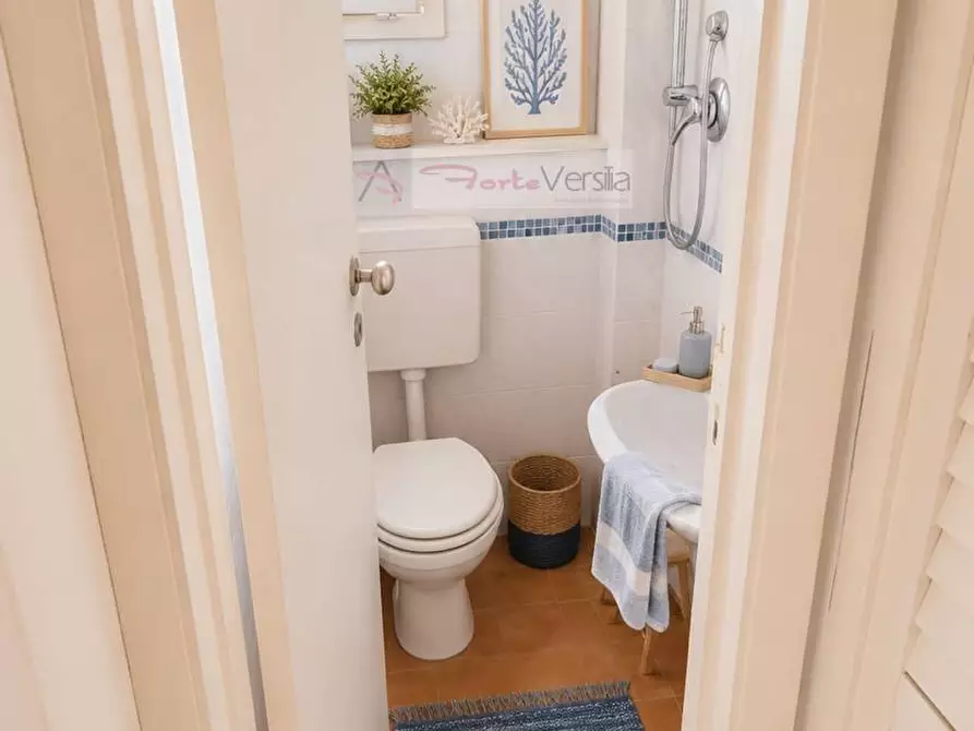 Immagine 4 di Villa in vendita  a Forte Dei Marmi