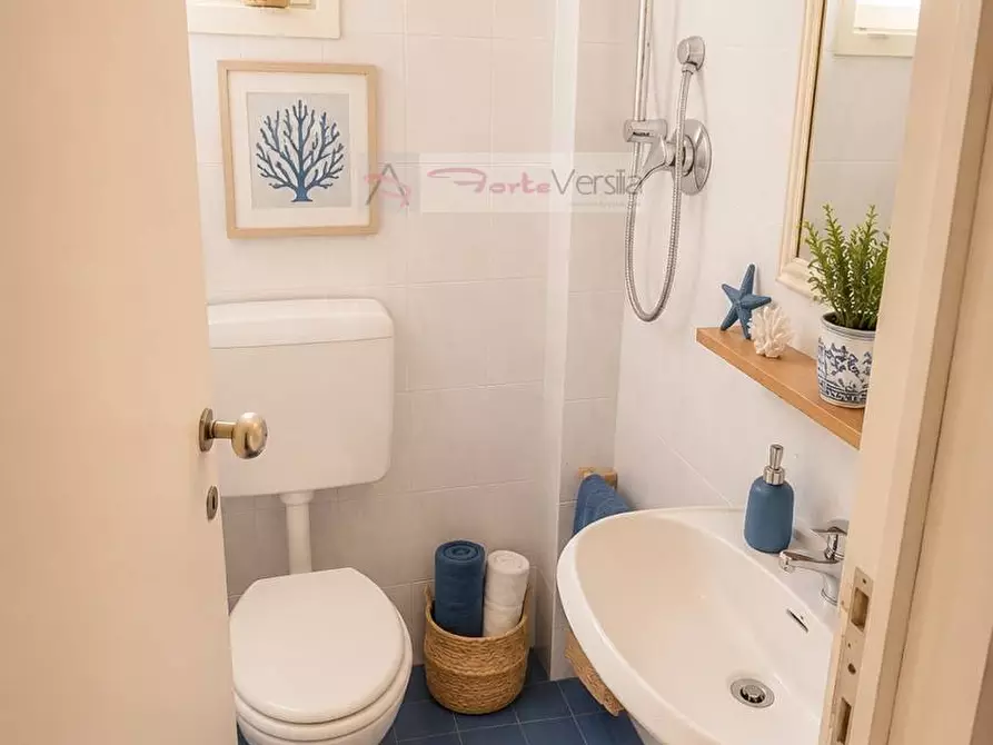 Immagine 7 di Villa in vendita  a Forte Dei Marmi
