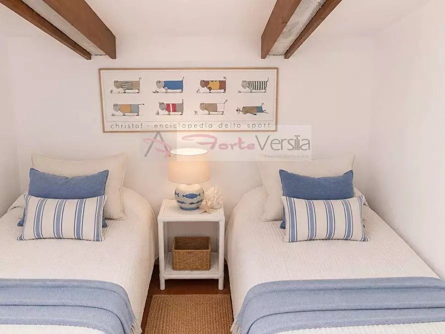 Immagine 14 di Villa in vendita  a Forte Dei Marmi
