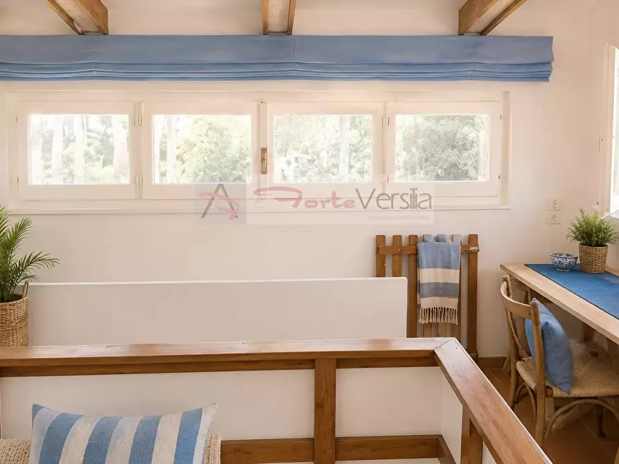 Immagine 15 di Villa in vendita  a Forte Dei Marmi