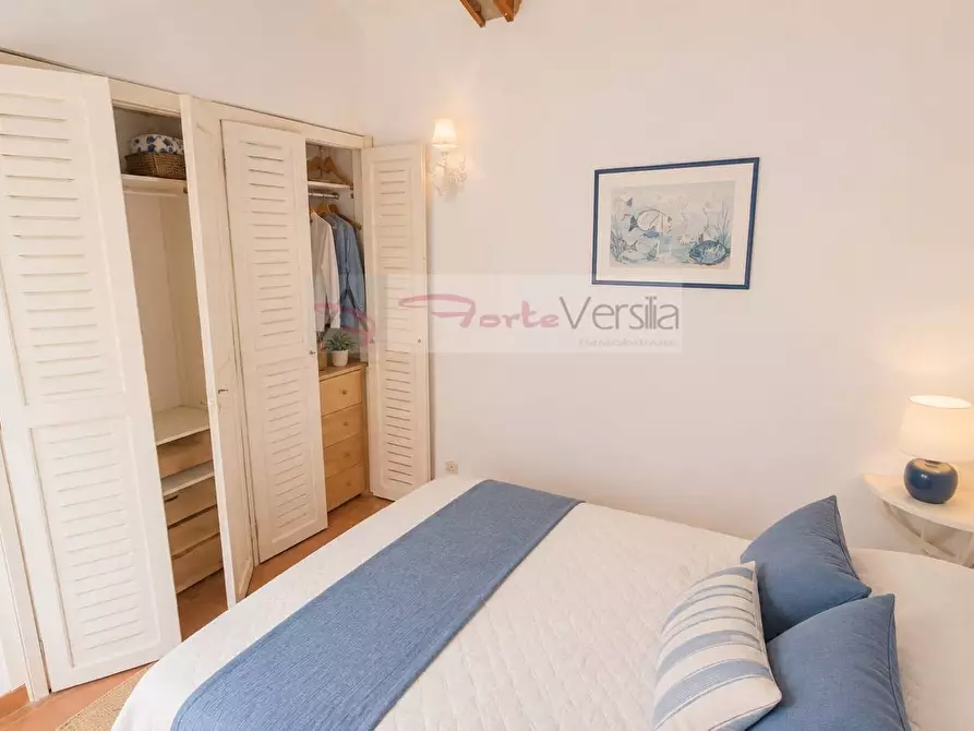 Immagine 19 di Villa in vendita  a Forte Dei Marmi