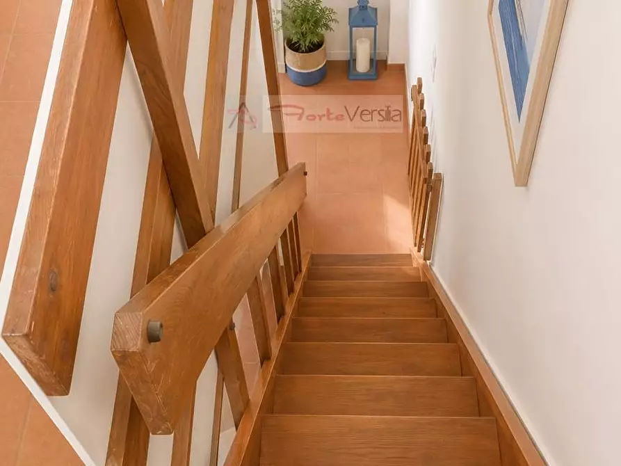 Immagine 21 di Villa in vendita  a Forte Dei Marmi