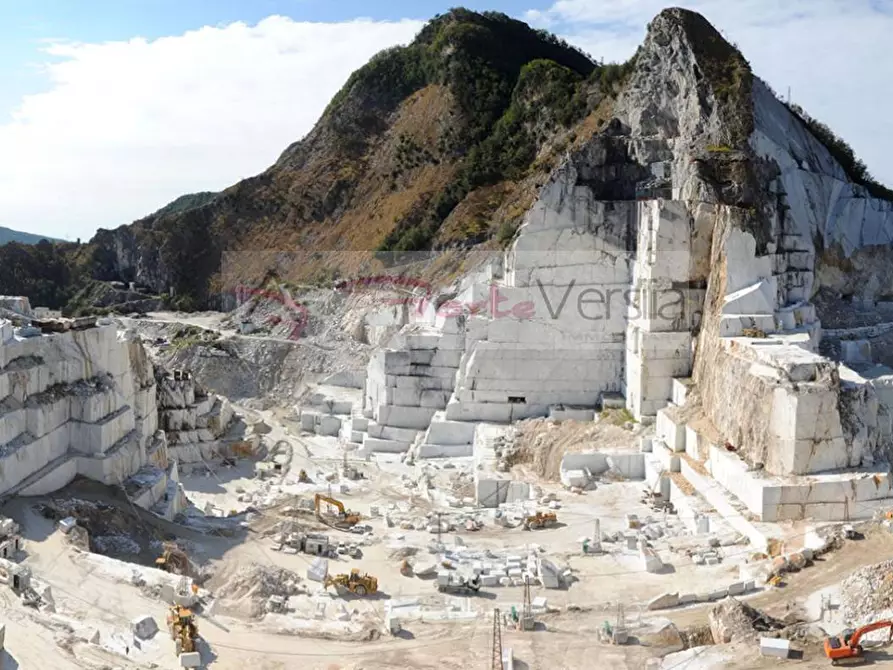 Immagine 6 di Attività commerciale in vendita  a Carrara