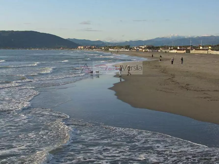 Immagine 8 di Attività commerciale in vendita  a Carrara