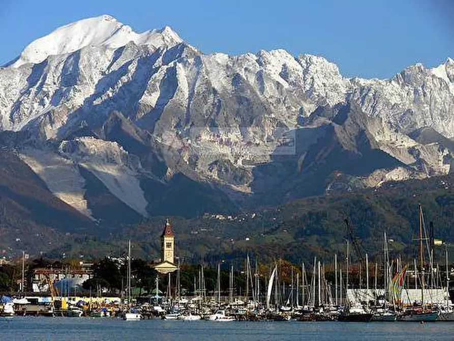 Immagine 7 di Attività commerciale in vendita  a Carrara